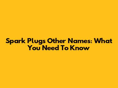 Spark Plug's Other Names: What You Need To Know