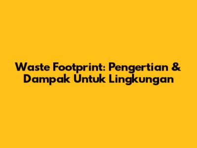 Waste Footprint: Pengertian & Dampak Untuk Lingkungan